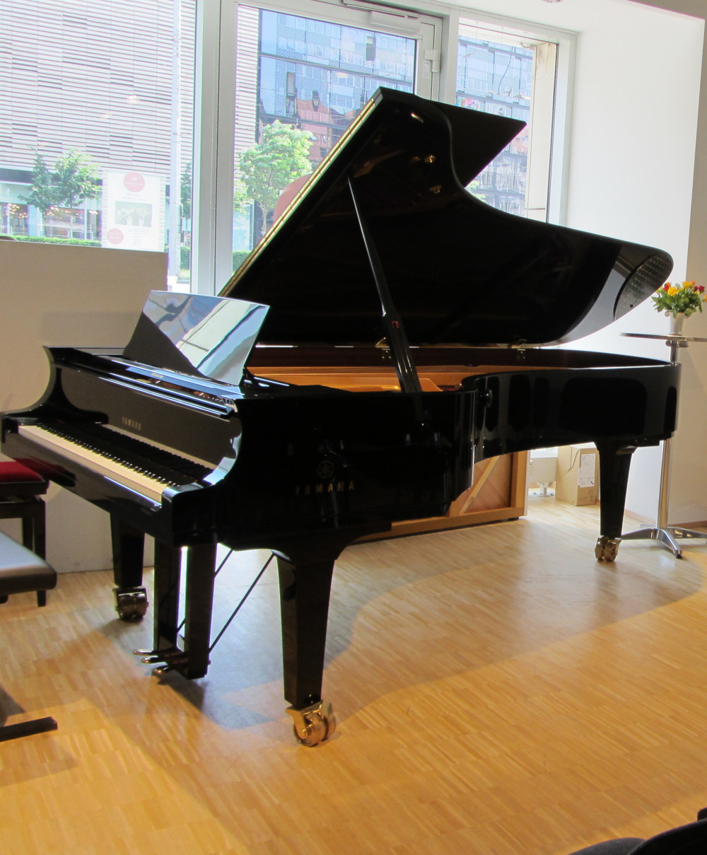 Bild des Übungsflügels